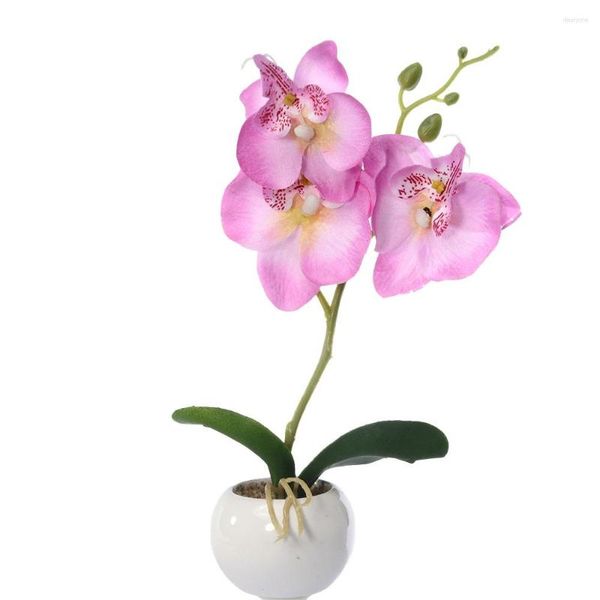 Fiori decorativi Phalaenopsis Bonsai Tre decorazioni creative da giardino Piante in vaso artificiali Fiore di magnolia Orchidea