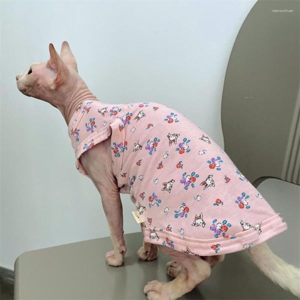 Trajes de gato roupas verão primavera casaco para sphynx doce algodão floral camiseta cães gatinhos cartton colete suprimentos para animais de estimação