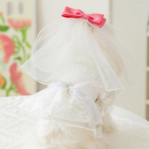 Abbigliamento per cani Primavera/Estate Abito da sposa in pizzo stile principessa Gatto di taglia piccola e media Bellissimo set di fiori