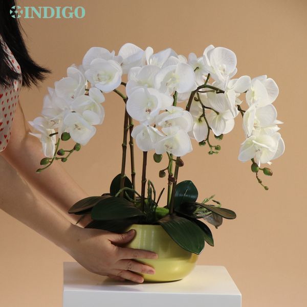 Dekoratif Çiçek Çelenkleri Beyaz Güve Orchid Diy Çiçek Düzenlemesi 5pcs Orchid4pcs MOSS3PCS Yapraklar Kelebek Dekorasyon Merkezi Indigo 230824