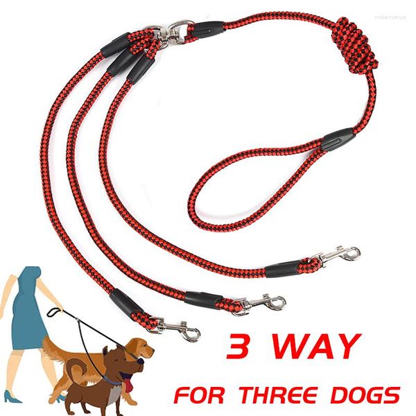 Collari per cani Accoppiatori a 3 vie Guinzaglio in 1 Cintura per animali intrecciata lunga 140 cm Corda per camminare all'aperto per tre cani di piccola taglia Forniture per animali domestici