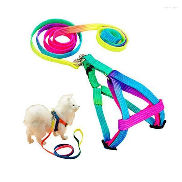 Collari per cani Guinzaglio in nylon resistente e durevole Pettorina in pelle colorata regolabile con accessori per animali domestici da esterno Forniture per strumenti da passeggio