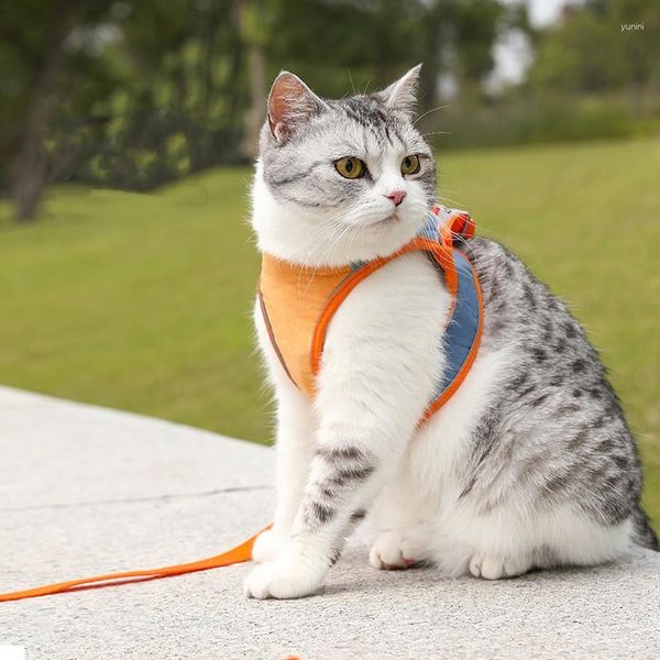 Coleira para cachorro e gato, respirável, ajustável, colete reflexivo, cinta peitoral para animais de estimação, para pequenas caminhadas ao ar livre