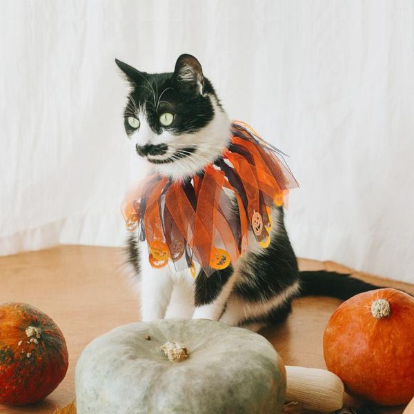 Collari per cani Collare per animali domestici Collo di gatto Gattino Decorazione decorativa in poliestere di Halloween