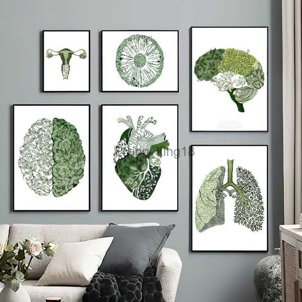 Grüne abstrakte Medizin Anatomie Herz Lunge Auge Nordic Poster und Drucke Wand Kunst Leinwand Malerei Bilder für Klinik Dekor HKD230829