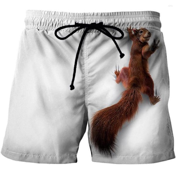 Shorts pour hommes Willie Animal Print Beach Femme Modèle 3D Squirrel Harajuku Pantalon mignon pour animaux de compagnie