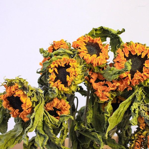 Flores decorativas 6 peças de girassóis de pelúcia secos naturais e reais, decoração de casamento para casa