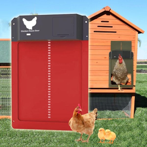 Incubatrici Porta automatica per pollaio Sensore di luce Porta per pollaio Porta per pollaio di alta qualità Pratica fattoria per polli Animali domestici Porta per gabbia per anatre Decorazione per fattoria 230828