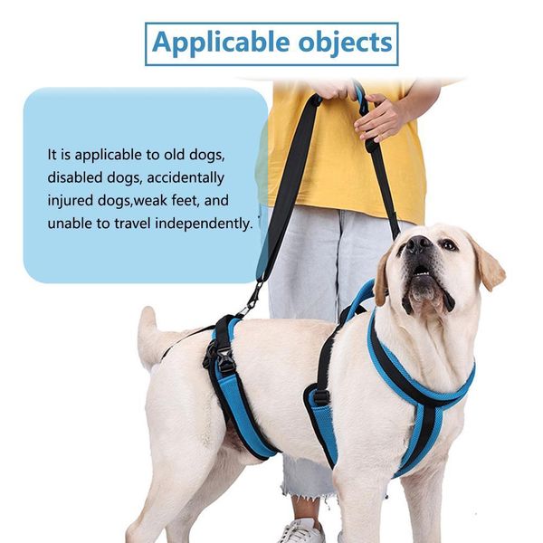 Coleiras para cães Leashes Dog Lift Harness Support Recovery Sling Pet Reabilitation Dog Carry Sling para Old Disabled Joint Lesões Artrite Dogs Walk 230829