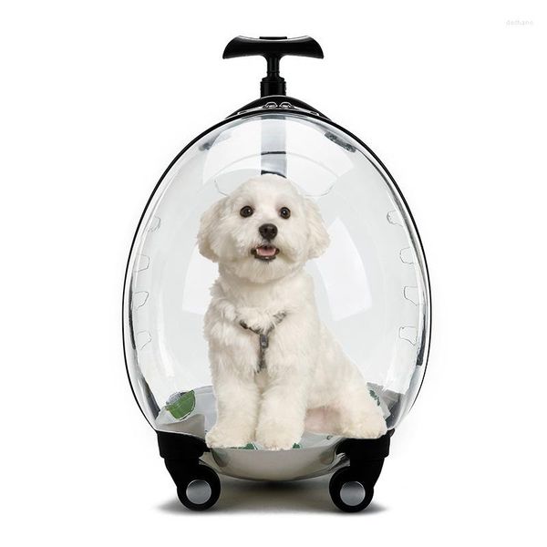 Transportadores de gatos 2023 Design Atacado Pet Carrier Deluxe Full Transparent Egg Shape Dog Travel Stroller Wheel Box Outdoor