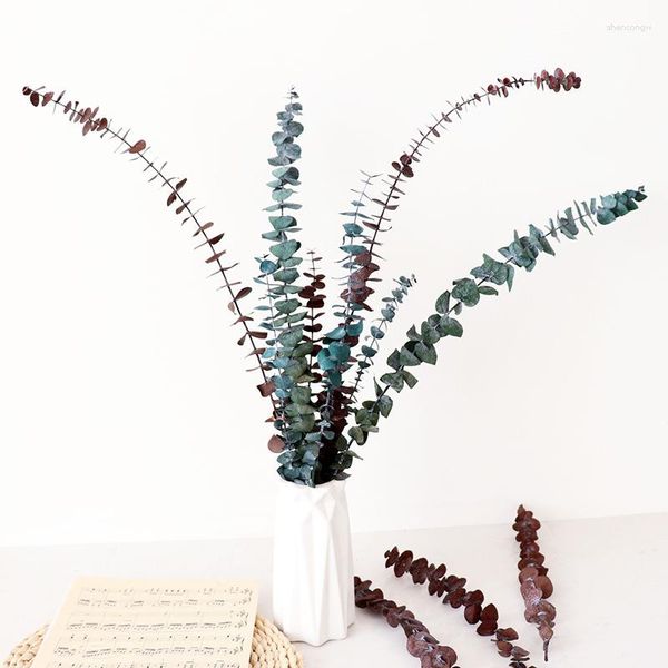 Flores decorativas 1/5 peças secas naturais para jóias de resina plantas secas prensadas folhas de eucalipto fazendo acessórios de arranjo artesanal