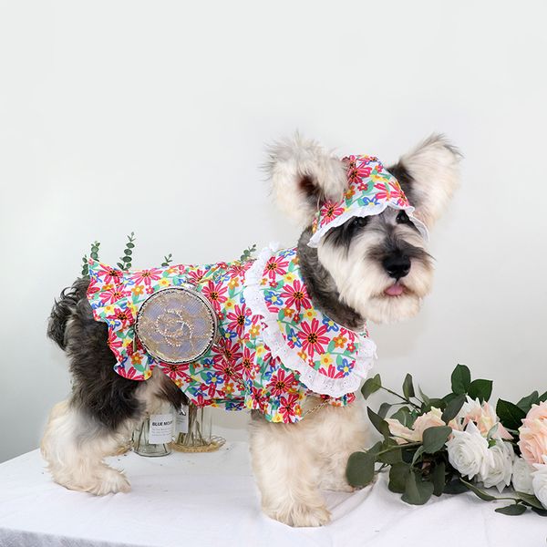 Robe d'été pour chien, Schnauzer, Teddy caniche, imprimé Floral, jupe en dentelle, vêtements mignons pour chien et chat