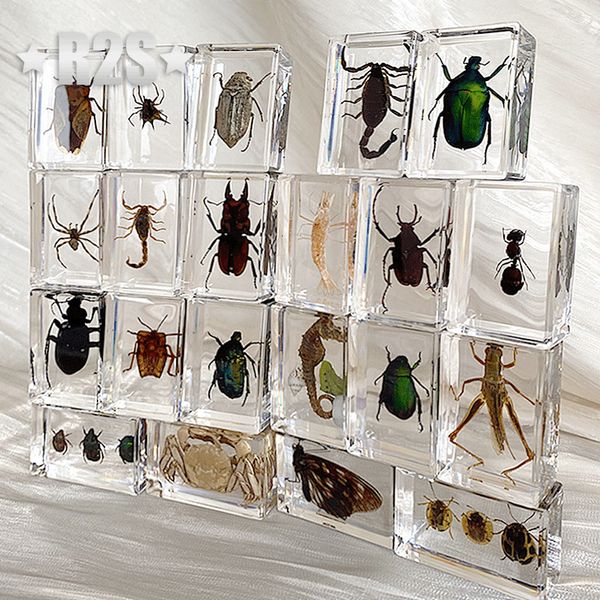 Objets décoratifs Figurines 12 pièces par lot insectes en résine spécimen insectes collection presse-papiers arachnide résine Spec décoration accessoires pour la maison au hasard 230830