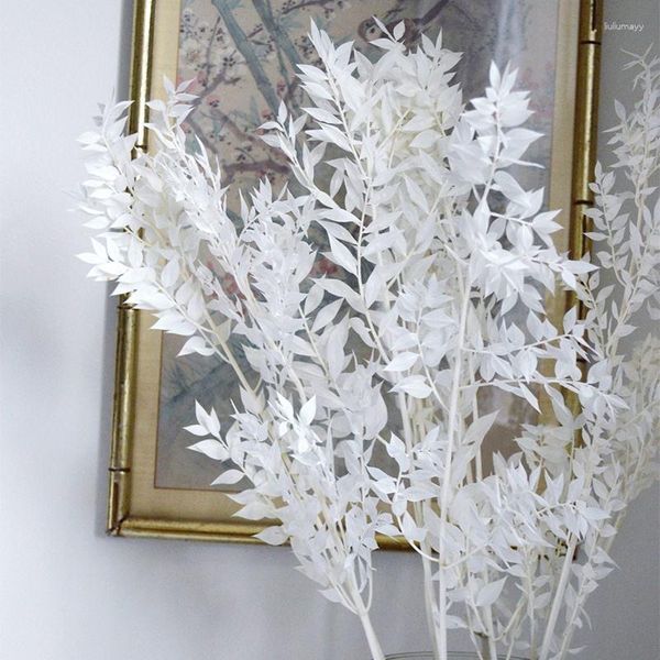 Flores decorativas atacado 100g flor seca natural ruscus folhas preservadas ramo de eucalipto para decoração de casa boho decoração de casamento