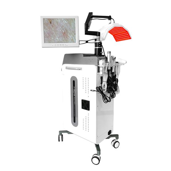 Multifunktional 10 in 1 Schönheitsausrüstung LED LED Light PDT -Therapie Ultraschall HF Hautstraffung Hautanalysator Gesichtsbehandlung