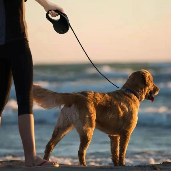 Colarinho de cachorro coleira de trela de caminhada retrátil corda automática extensível para todas as raças cães desperdício de bolsa