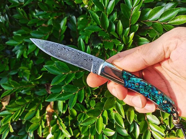 Coltello a lama pieghevole H2376 di alta qualità 67 strati VG10 Lama in acciaio di damasco Guscio di abalone con manico in ottone Escursione di campeggio esterna Coltelli per cartelle tascabili EDC