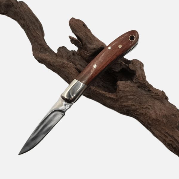 H6882 Coltello chiudibile da frutta da cucina 420C Lama satinata in legno con manico in ottone Piccoli coltelli tascabili EDC