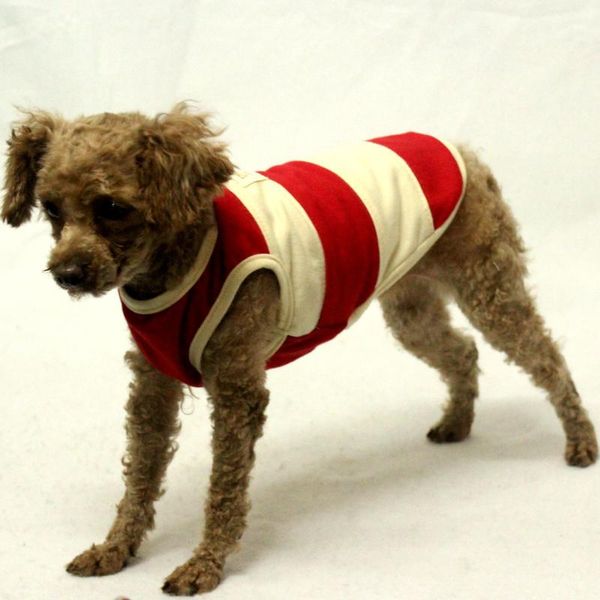 Abbigliamento per cani Gilet Maglietta Gatto Chihuahua Barboncino Pug Husky Golden Retriever Labrador Grandi vestiti Grandi vestiti per animali domestici Costume estivo