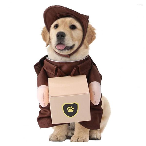 Vestuário para cães roupas de estimação para animais de estimação Puppy Express Package Chihuahua roupas de fantasia