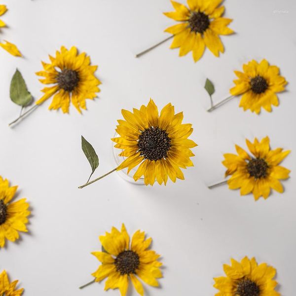 Dekorative Blumen, 5–6 cm/12 Stück, Sonnenblume mit Zweigprägung, Pflanzenprobe, Klebertropfen, Handytasche, winzige trockene künstliche Blume