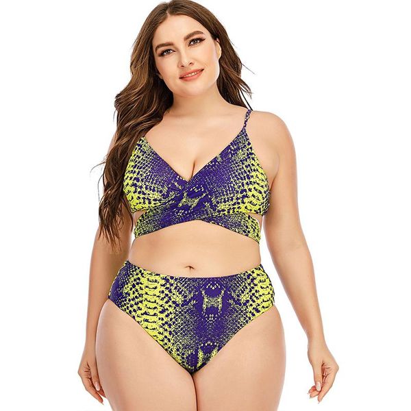 Costumi da bagno da donna 2023 Set bikini sexy da donna Push Up Costume da bagno femminile Swim Separato Costume da bagno brasiliano in due pezzi Large Plus Size 4XL