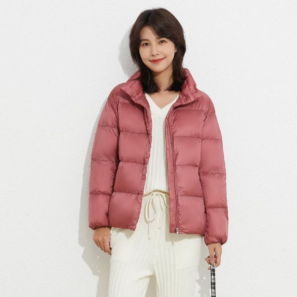 Piumino da donna Parka 90 Cappotto tinta unita in velluto Collo alto ispessito 2023 Autunno e inverno Calore Cappotto di pane d'anatra biancaDonna