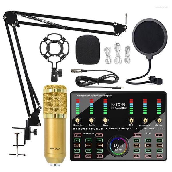 Microfoni DJ 10 Set di schede audio BM800 Mic Studio Microfono a condensatore per registrazione di podcast karaoke Live Streaming