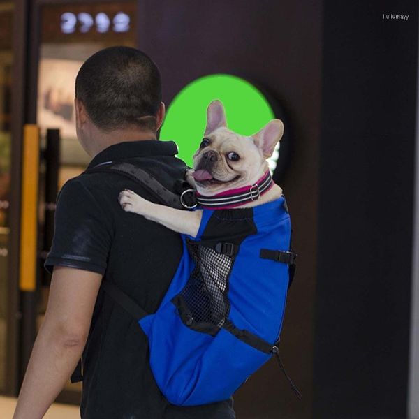 Capas de assento de carro de cachorro Portador de mochila de animais de estimação Ventilação de bicicleta respirável motocicleta