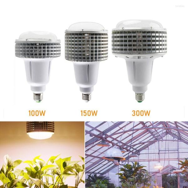 Luzes de cultivo 100W Full Spectrum Plant Barrated lâmpada de lâmpada quente Luz LED para a estufa interna sementes de flores de vegetais de estufa cultivando