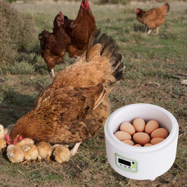 Kleintierbedarf, 9 Eier, Inkubator, LED-Anzeige, Wasserbett-Eierbrüter für Hühnerfarm-Brüterei, automatische Brutkerzenschale 230307