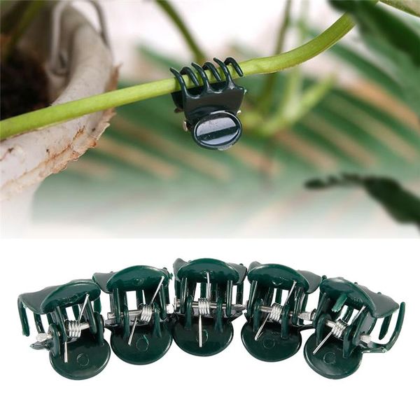 Forniture da giardino Altre clip di supporto per piante in plastica da 100 pezzi Clip per stelo per orchidee per verdure a vite Strumento di bloccaggio per rami legati a fiori