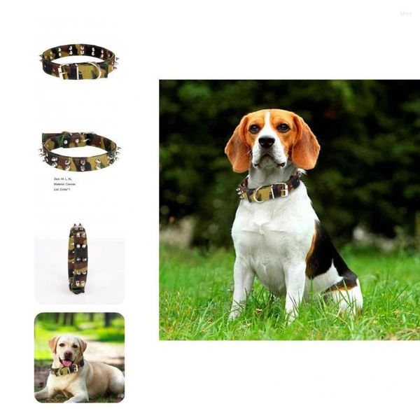 Hundehalsbänder Bissfestes Haustier-Traktionshalsband mit Schnallendesign, personalisierter Katzentrainingskopf