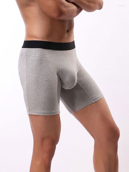 Cueca boxers masculinos sexy u bolsa bainha unspant mid wist Men respirável roupas íntimas algodão calcinha masculina elevador lingerie bushapewear