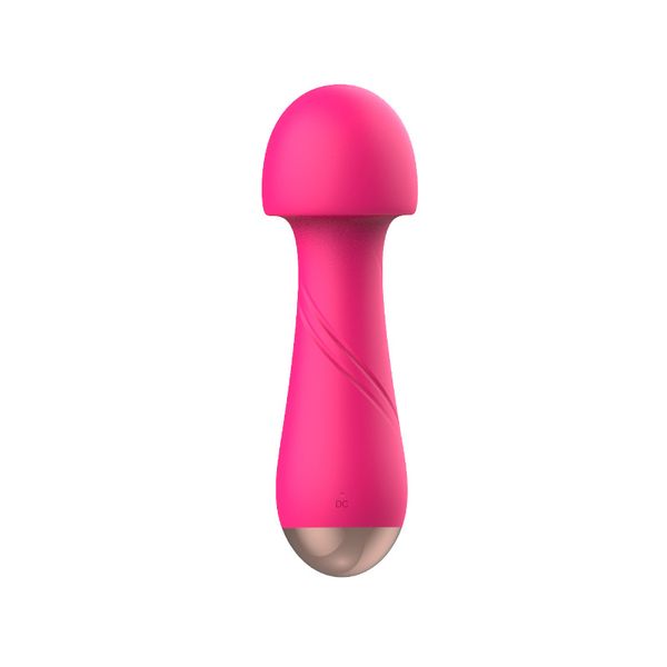 Estimulação de cogumelo fofa Vibrador vibratando vibração vibradora recarregável Vaginal G-Spot Feminino Masturbação Pasta Casal Toys de Sexo para Adultos ZD155