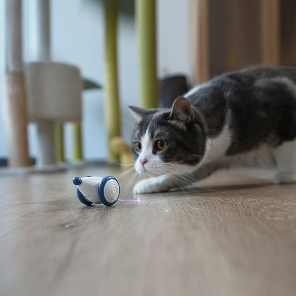 Cat Toys Surterble Wicked Mouse Toy Automatic Используя интеллектуальные и перезаряжаемые с красочным миганом хвостом 230309