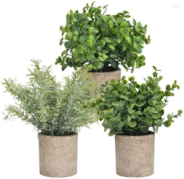 Flores decorativas Mini plantas em vasos