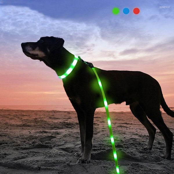 Hundehalsbänder Pet Night Safety Products USB-ausziehbare Leine mit LED-Tasche