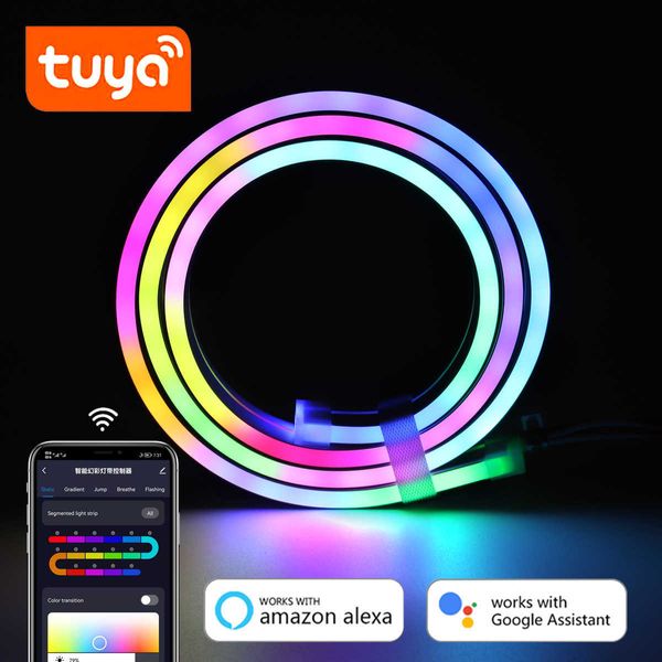 Strisce LED 12 / 24V RGBIC LED Neon Strip WiFi Controllo APP Tuya 1/2/3/4/5 / 10M Nastro lampada RGBIC Lavora con Alexa per l'illuminazione decorativa dinamica domestica J230308