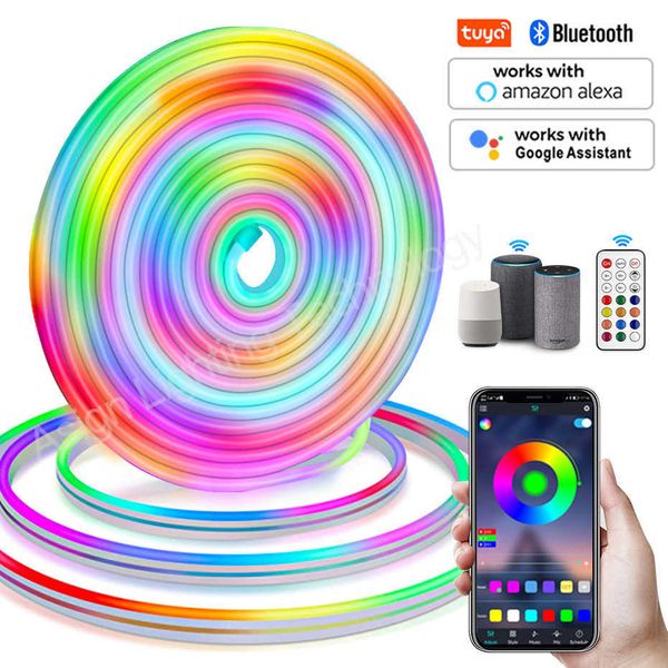 LED-Streifen Tuya WiFi LED-Neonstreifenlicht 12V RGBIC Smart Strip Light WS2811 5050 RGB Chasing Flexible Tape Dream Color mit Google Alexa J230308