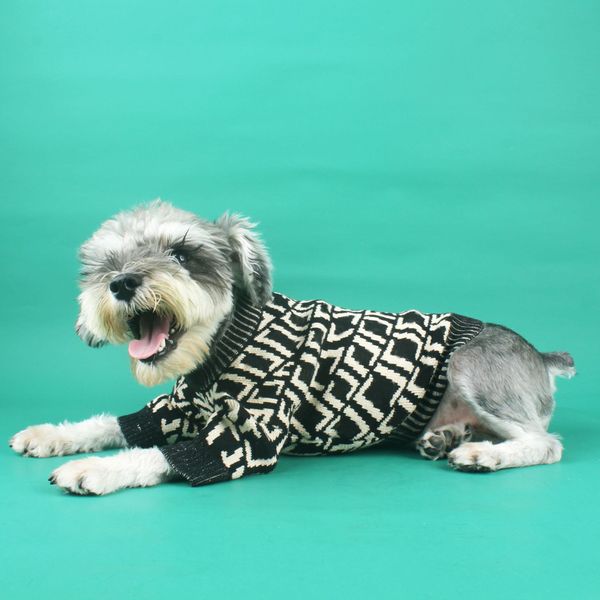 Kaliteli evcil hayvan moda markası kazak sonbahar ve kış düzensiz harfler küçük ve orta boy köpek kıyafetleri