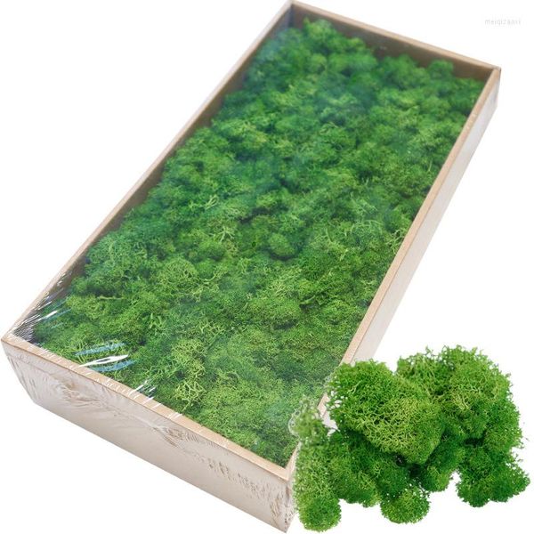 Flores decorativas Diy Moss Moll Wall Artificial Secado Natural Preservado Floral para Decorar decoração em casa