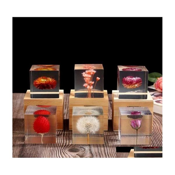 Objetos decorativos Figuras resina rosa margarida cuba de leão de cristal de vidro de papel de vidro de papel real amostra de planta natural feng shui flowe dhgup