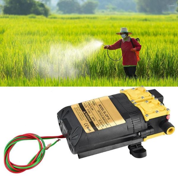 Attrezzature per l'irrigazione Spruzzatore per pompa idraulica elettrica agricola ad alta pressione 12V