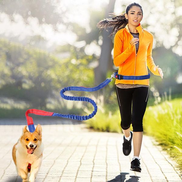 Collari per cani Elastico in vita Guinzaglio senza guinzaglio con striscia riflettente Corsa Jogging Allenamento sportivo Corda per mani retrattile