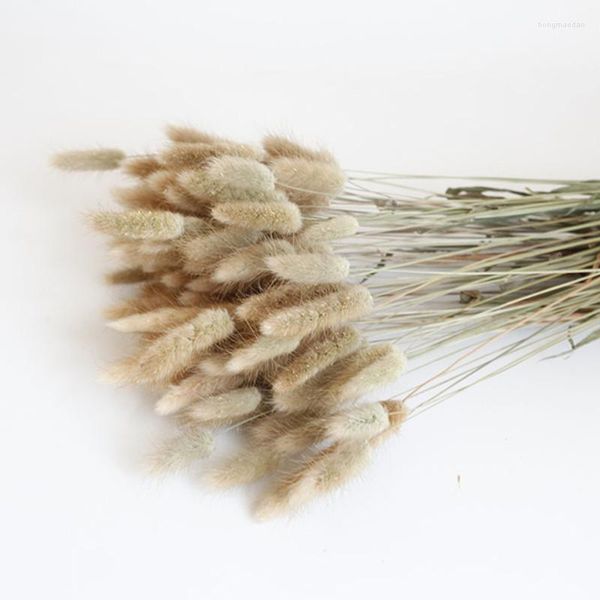 Flores decorativas 50pcs/lote e 25pcs/lote Natural Nunny Tail Grass Bouquet Decorações de Natal Coelhos coloridos secos