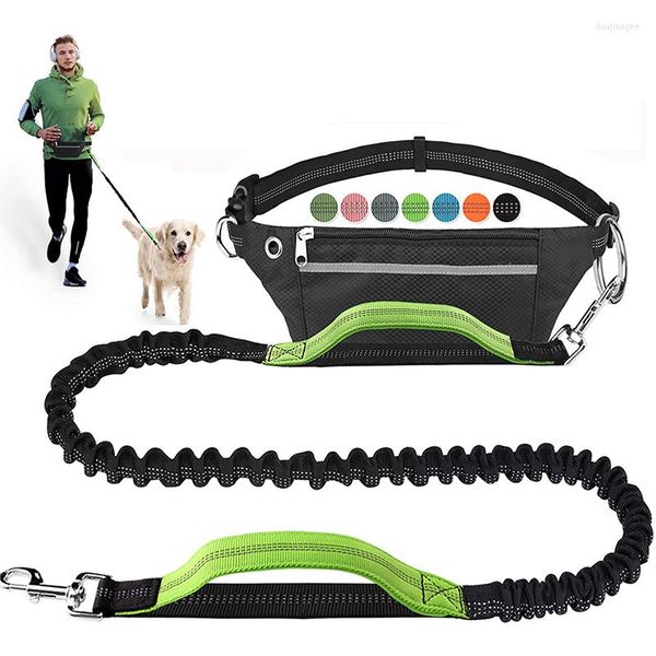 Hundehalsbänder, freihändige Leine zum Laufen, Gehen, Joggen, Training, Wandern, verstellbares Geschirr, Halsband, Leine, mittelgroße und große Hunde