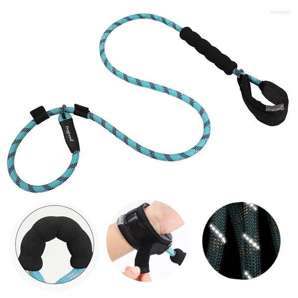 Collari per cani Guinzaglio Corda Riflettente Arrampicata su roccia Qualità Pet Slip No Pull Nylon Training Lead Facile controllo Impugnatura morbida