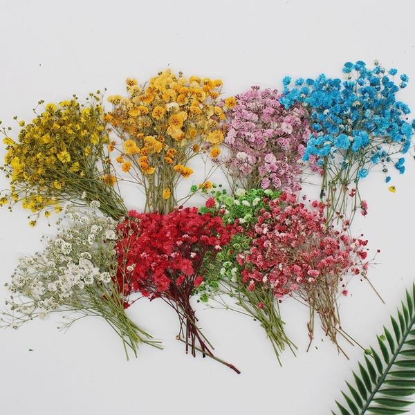 Flores decorativas grinaldas 60 pcs gipsophila flores secas flores pequenas flores buquê Flores secas Pressione Mini decoração de fundo de pografia decorativa 230313