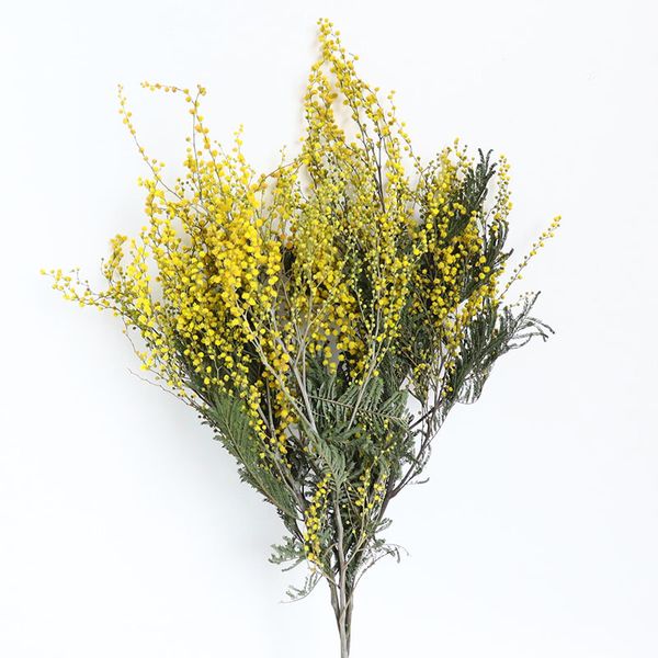 Ghirlande di fiori decorativi 60-80 g Fiori secchi di acacia Fiori di Natale Mazzi di fiori secchi naturali Fiori di Natale Decorazioni per la casa Fiori naturali Nave libera 230313